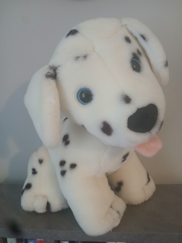 Vintage animal hospital - vintage,
