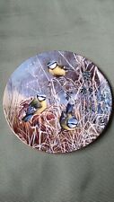 WINTER BLUETIT COALPORT BIRD COLLECTORS PLATE FROM THE SERIES FROSTY MORNINGS