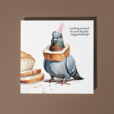 Pigeon Bird - Loafing around