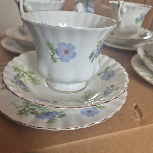 Beautiful richmond bone - ,