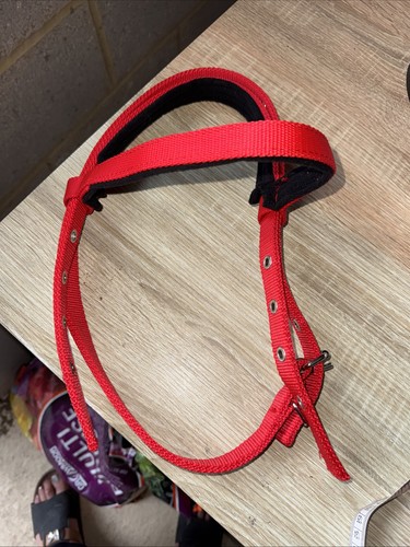 Pony size red webbing - pony,