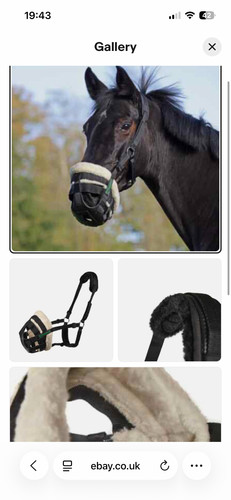 Shires deluxe nylon grazing - deluxe,