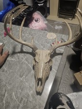 Ebros Gift Rustic Hunter Deer