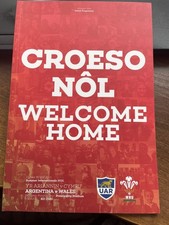 2021 WALES V ARGENTINA