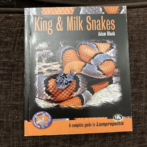 King and milk snakes - king, by