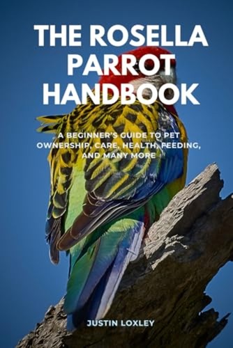 The rosella parrot - rosella,