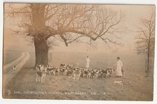 c.1910 postcard Earl Fitzwilliam's Hounds Wentworth Rotherham Barnsley Sheffield