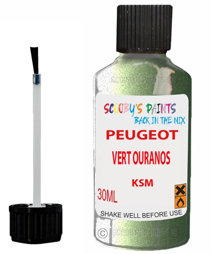 Paint touch for peugeot 307 - for,