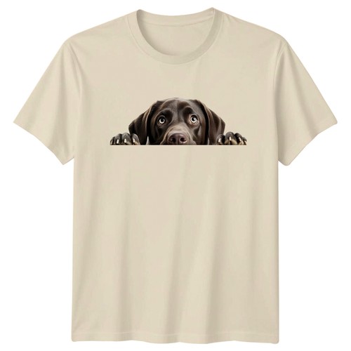 Chocolate labrador peeking - chocolate,