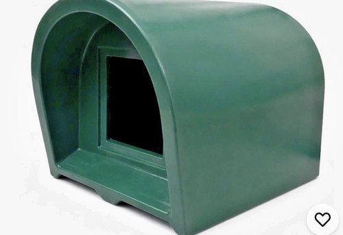 Outdoor cat small animal - cat/small,