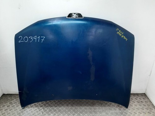 Hood 203917 1160040 peugeot - 1160040,