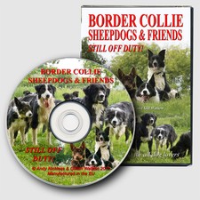 BORDER COLLIE SHEEPDOGS & Friends - Still Off Duty! New Dog & Puppies DVD