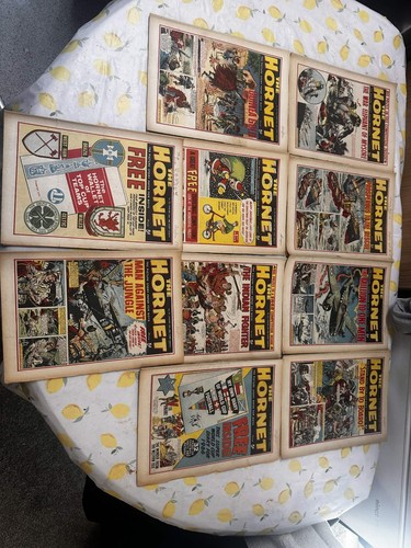 The hornet comics - the,