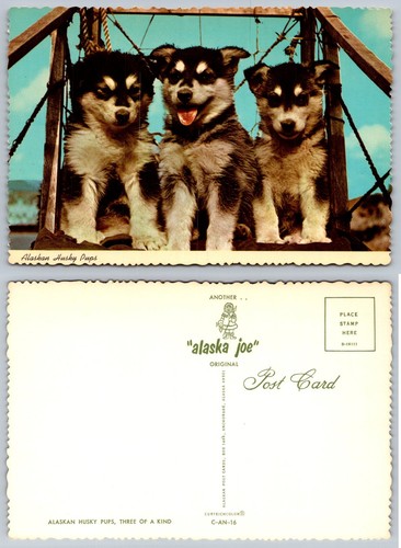 Vintage alaskan husky - alaskan,