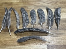 Guinea Fowl Wing Feathers X10