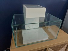 Fluval Edge 23L tropical Fish Tank Setup