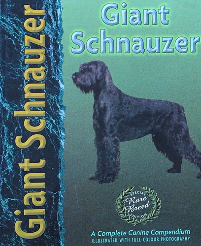 Giant schnauzer barbara - giant,