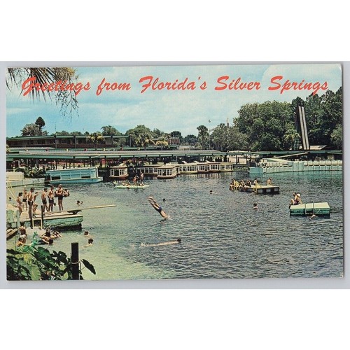 Florida postcard silver - florida,