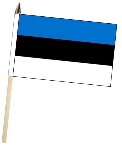 Estonia large hand - flag, with