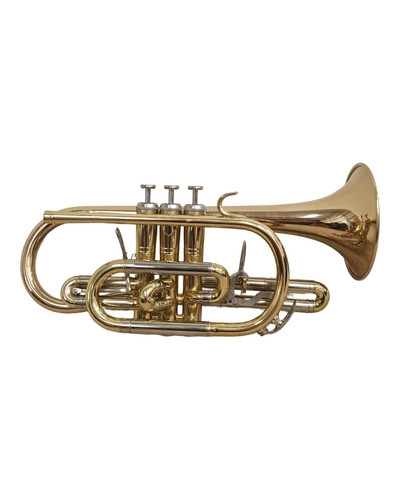 Weril regium cornet - regium,