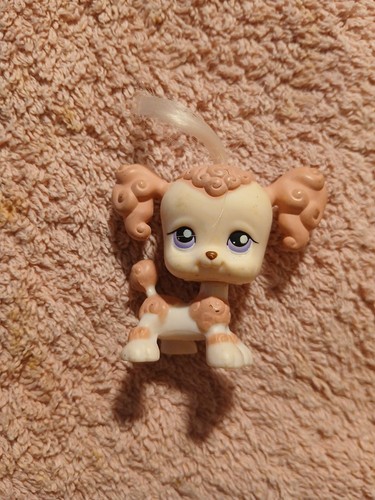 Ittlest petshop lps 225 poodle - 225,