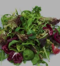 20 Types of Leafy Veg Mix for