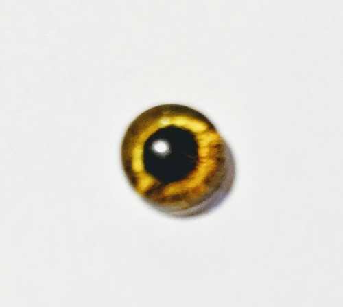 6mm glass cabachon - , great