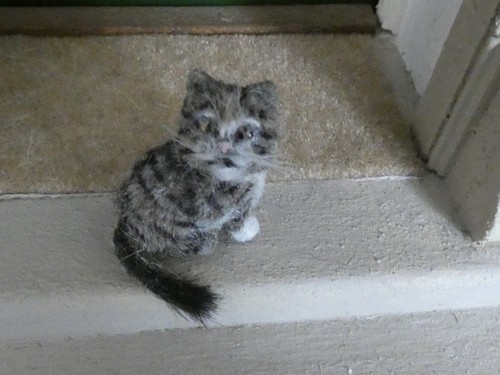 Dolls house kitten - cat, ooak
