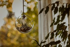 Glass Hanging Glass Bowl