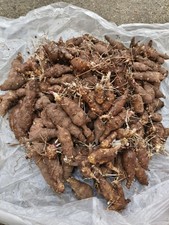 10x Organic Fresh Jerusalem