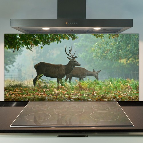 Glass kitchen splashback - splashback, tile