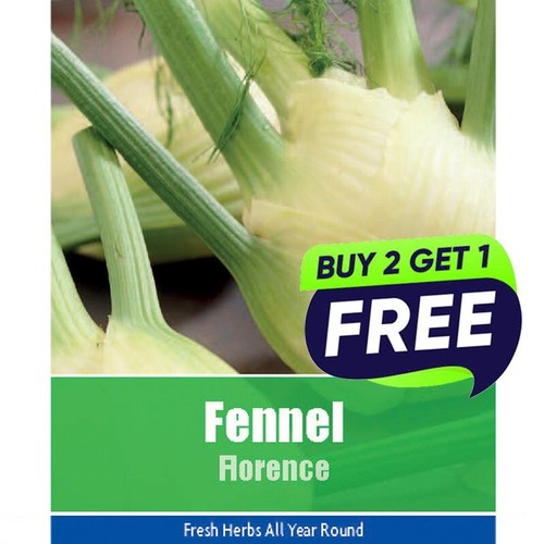 Fennel florence 45 seeds - 45,