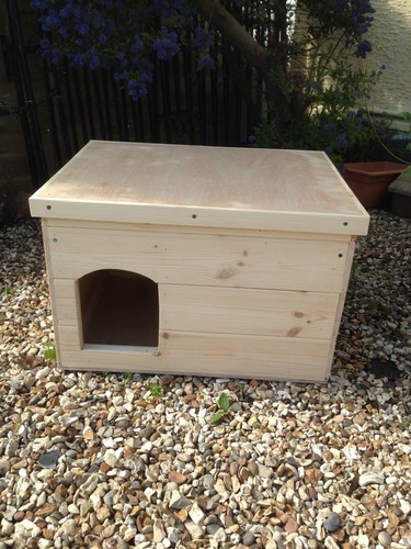 Rabbit digging box - digging, digg