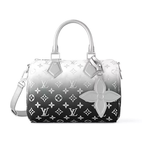 Louis vuitton ski - ski, 25
