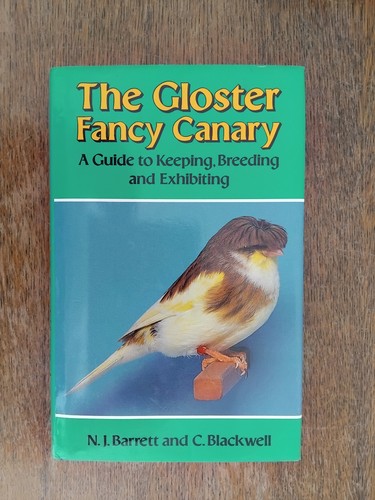 The gloster fancy canary - the,