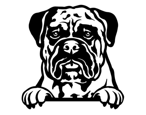 Bullmastiff dog car van vinyl - bullmastiff,