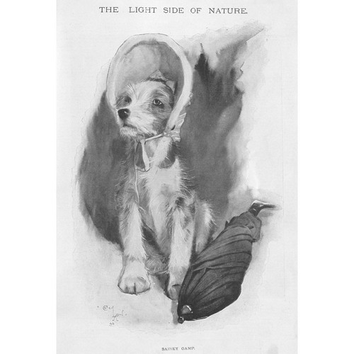 Cecil aldin sairey gamp dogs - dogs,