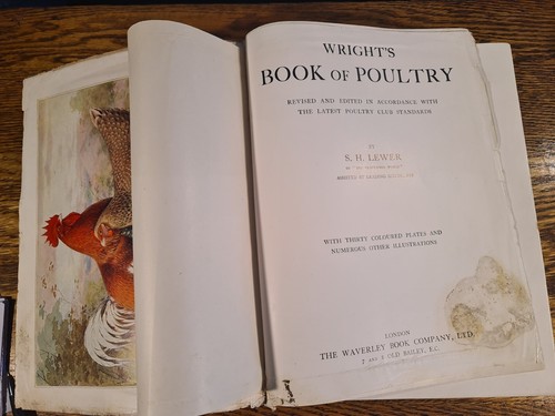 Wrights book poultry l - wrights,