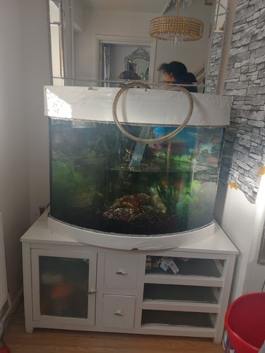 Large foot aquarium - large,, fish