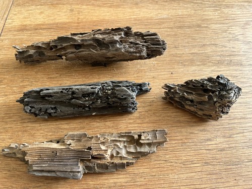 Character driftwood holes - character,