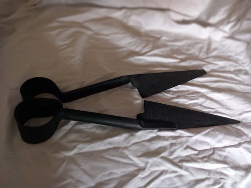 Vintage sheep shears ward - vintage,