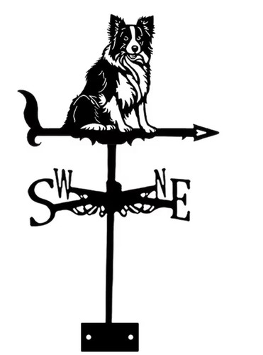 New metal border collie - 2d,