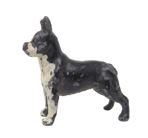Timpo lead boston - timpo, terrier