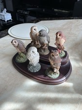 Vtg 1994 Royal Doulton 6 Owl