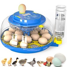 18 Egg Incubator for Chickens