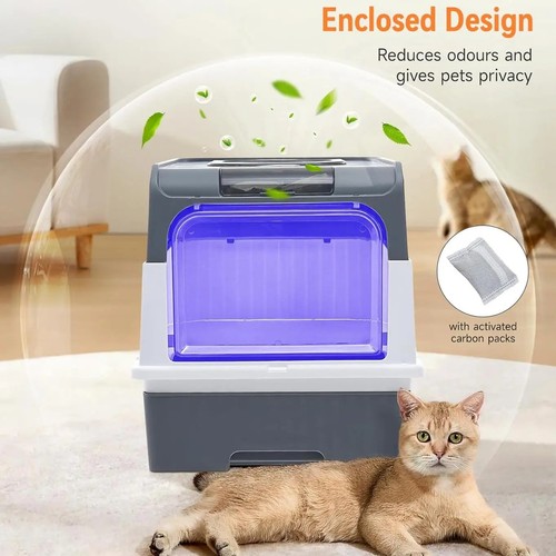Sterilization cat litter - cat,