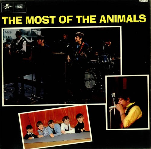 The animals most of - animals,