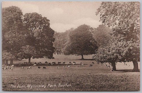 Wynnstay park denbighshire the - wynnstay,