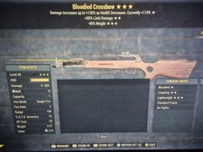 Fallout 76 Item (PS4/5) -