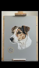 Drawing Of Your Pet. Portrait